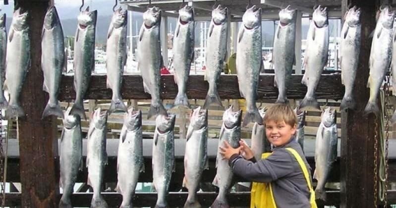 Private Half-Day Rockfish Charter