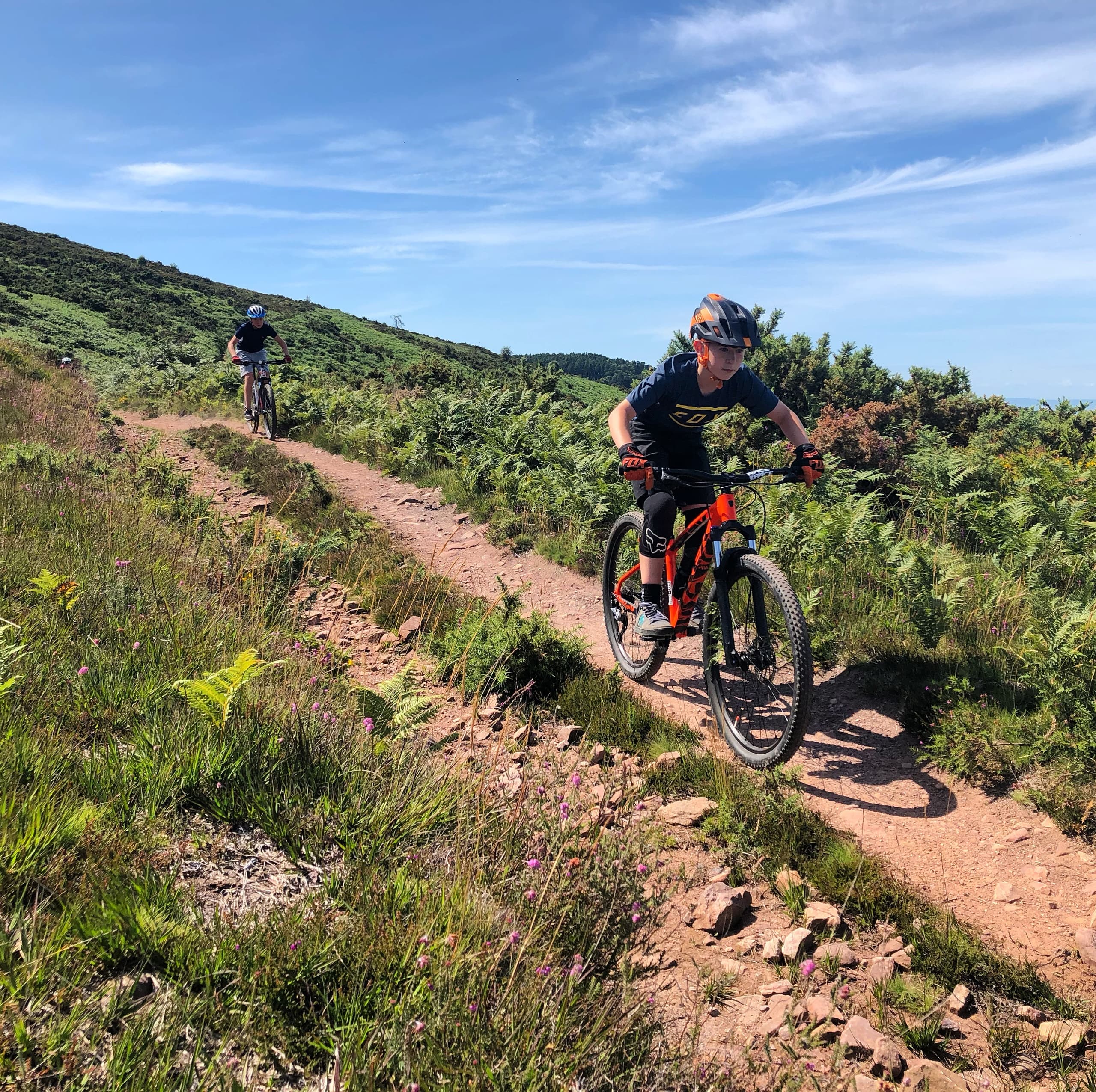 Introduction to Mountain Biking