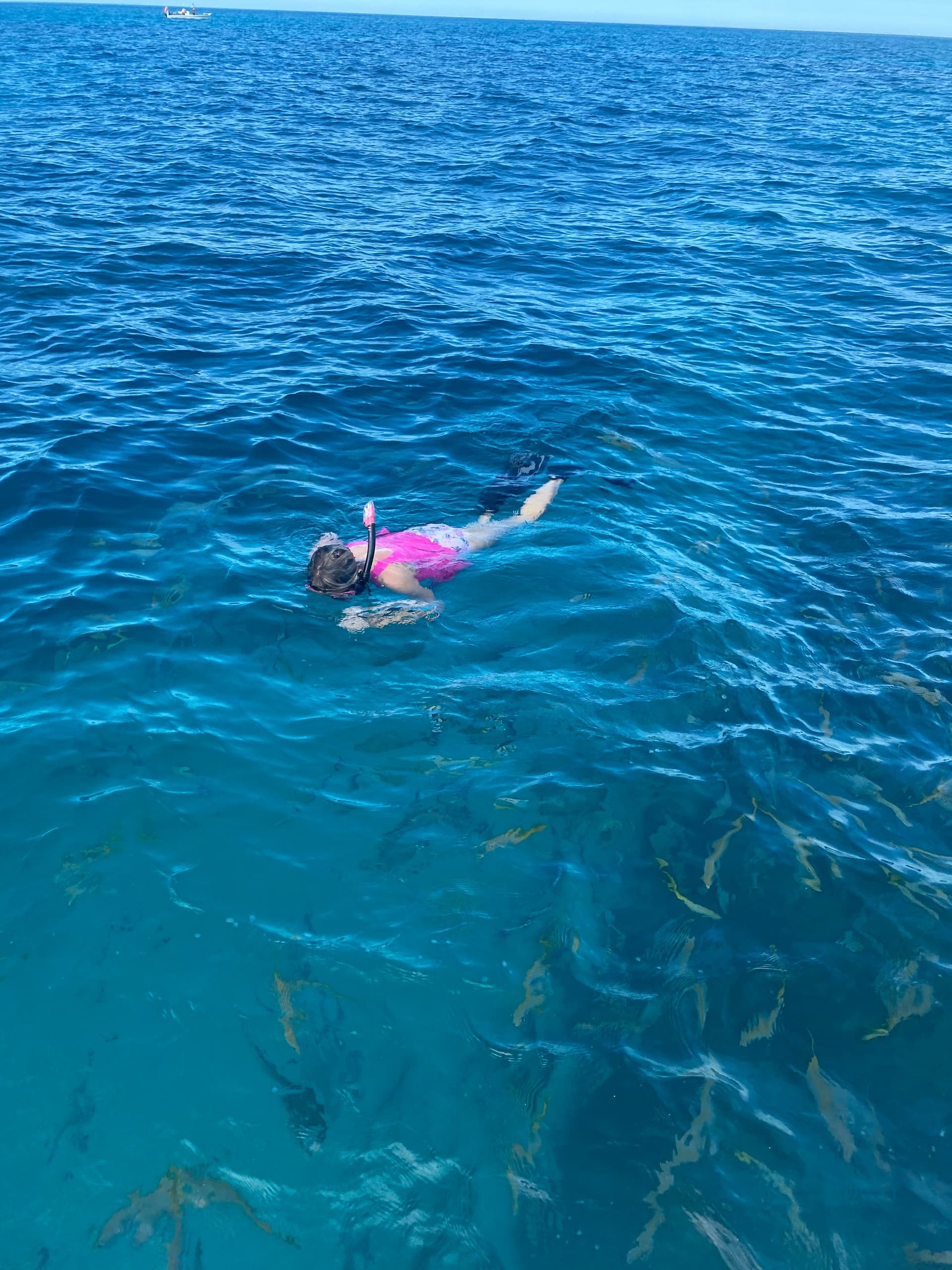 Looe Key Snorkel Excursion