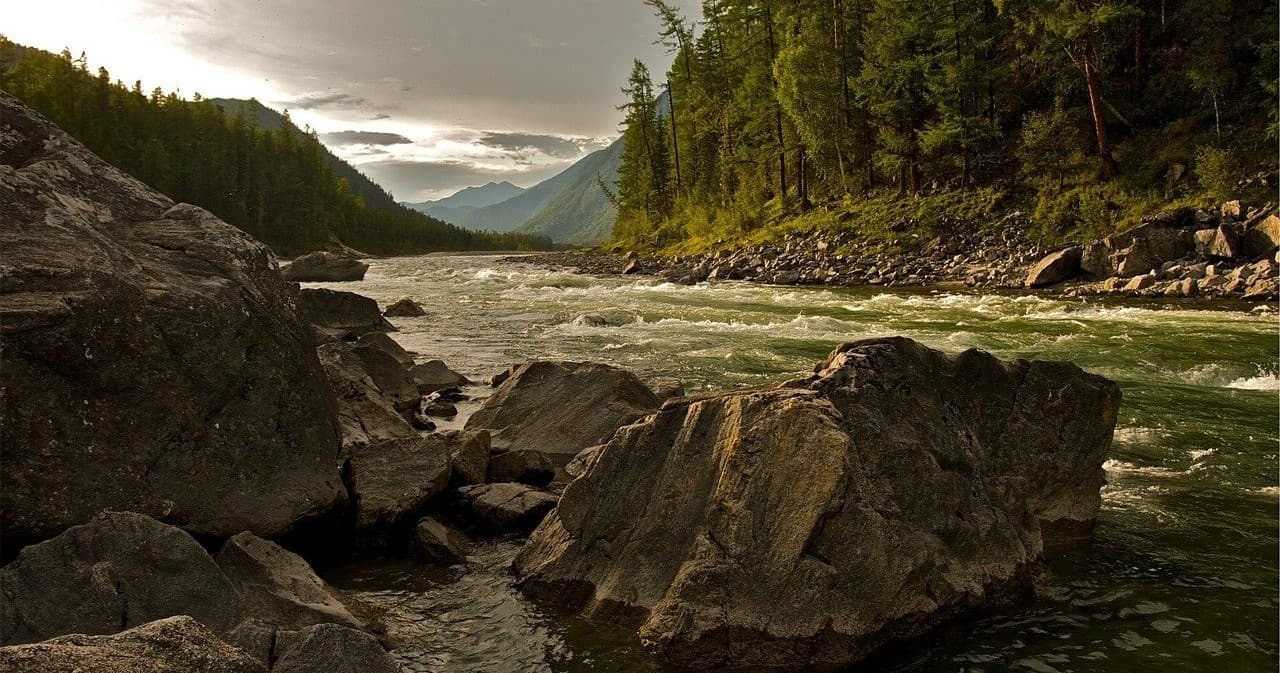 Full Day Kenai River Power Boat Salmon trip