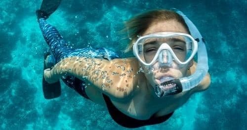 Snorkeling