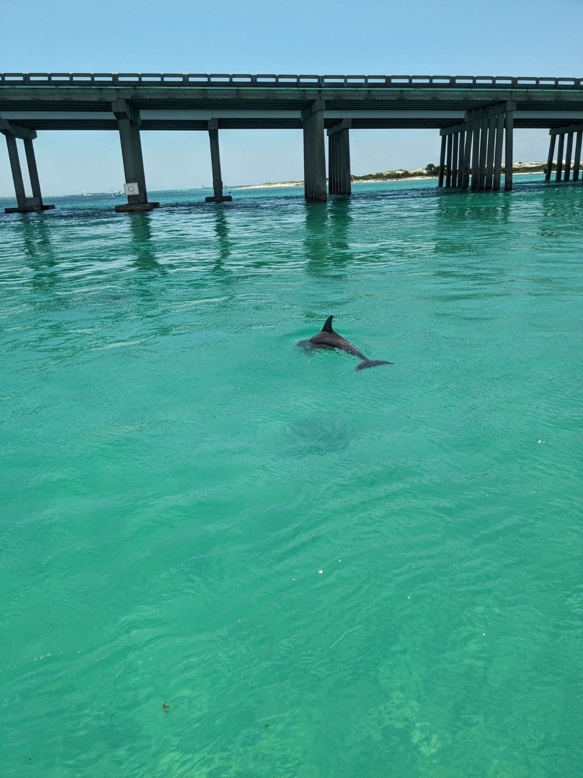 3 Hour Crab Island Private Charter