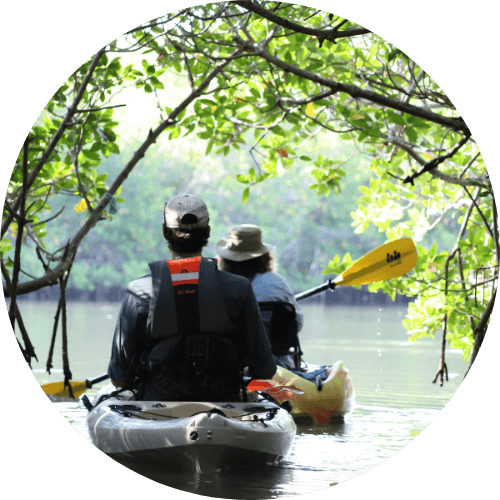 Kayak, Paddleboard, & Canoe Rentals