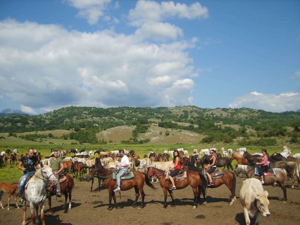 Passeggiata a cavallo di un'ora