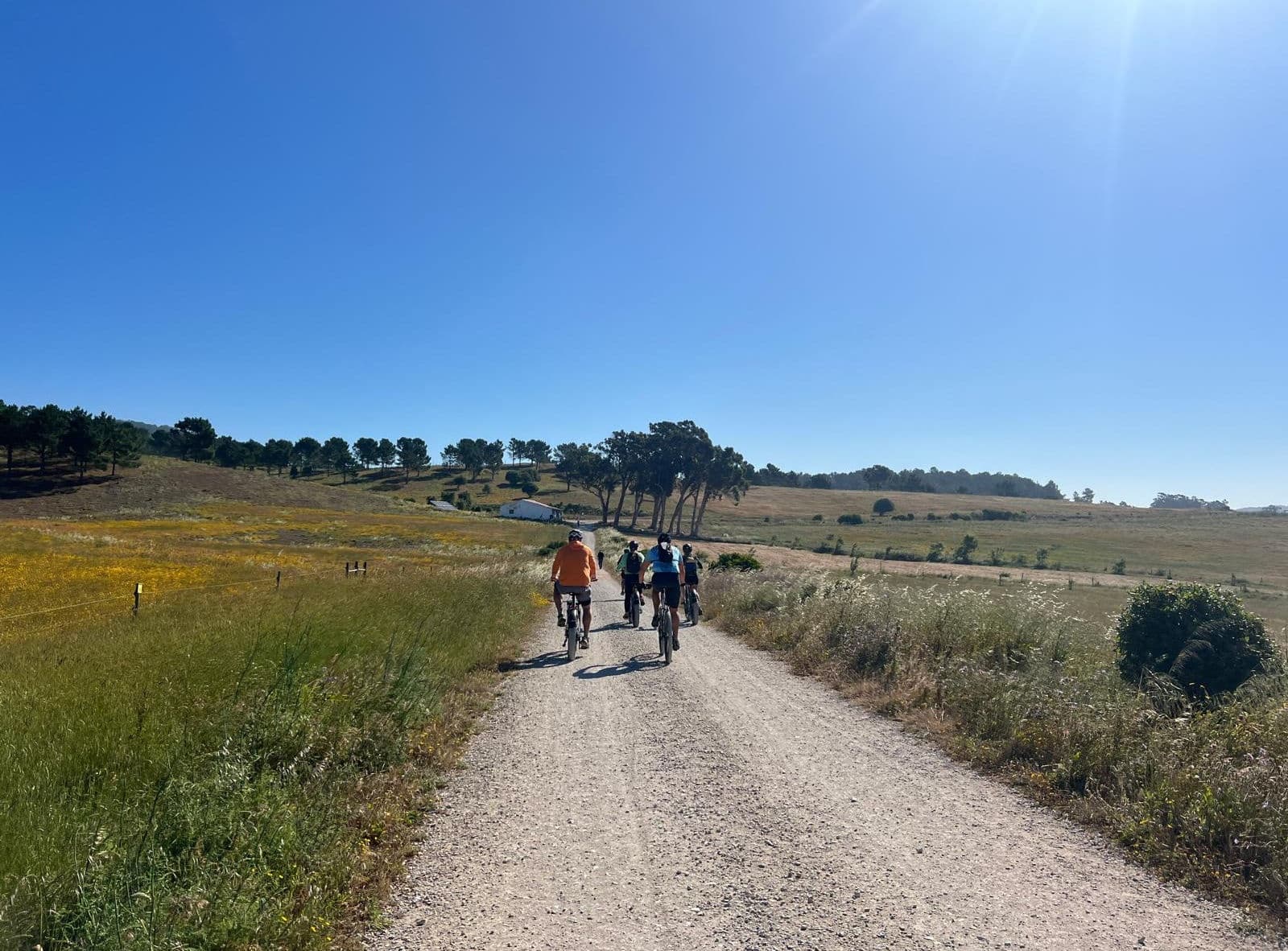 Trailblazer Serra da Sintra Tour