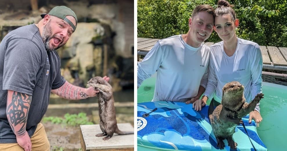 Ultimate Otter Splash