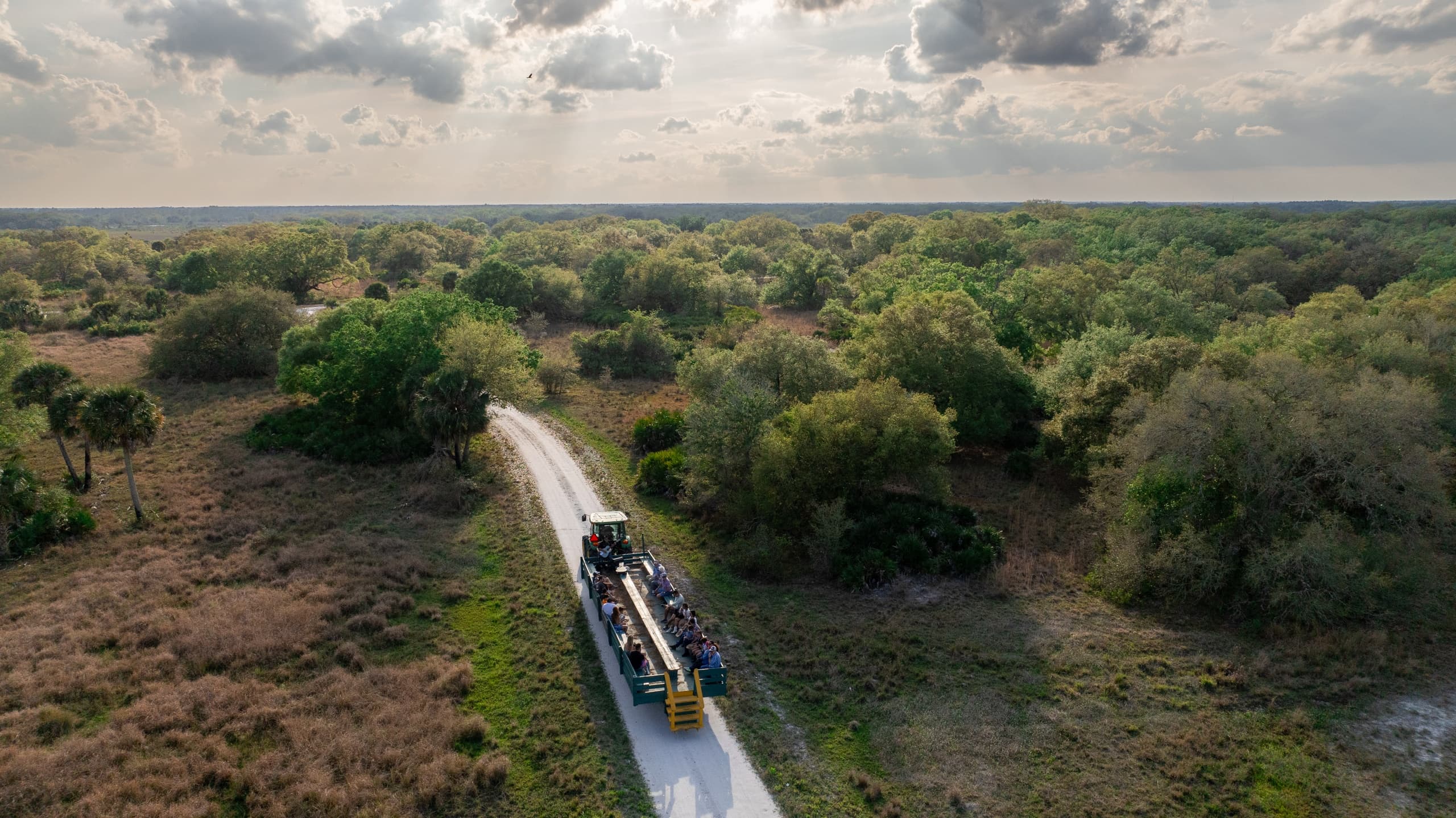 Cowboy Dinner & Hayride