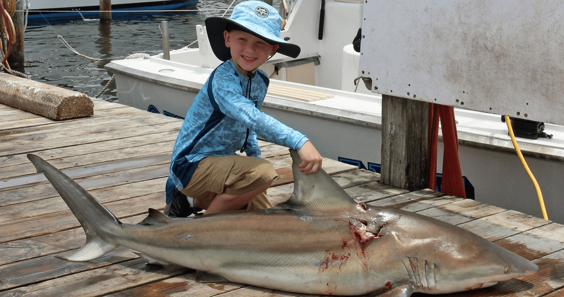 Shark Trip - 4 Hour