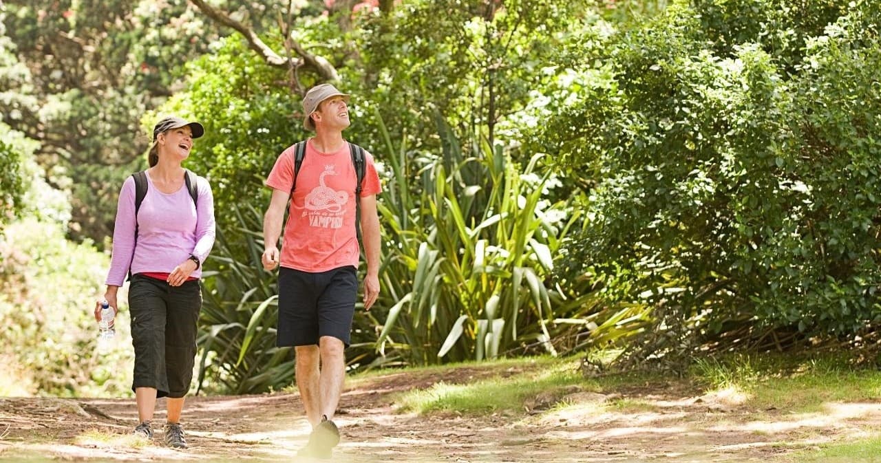 Private Auckland Half Day Luxury Tour