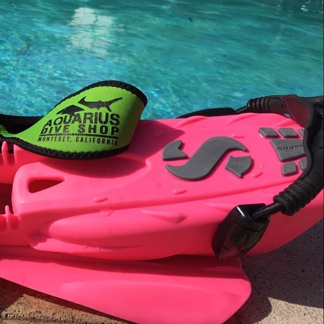 Snorkeling Tour