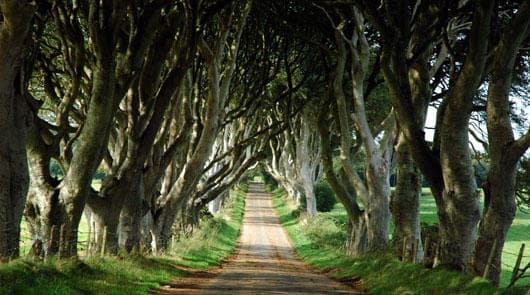 Game of Thrones Tour from Belfast with Giant's Causeway