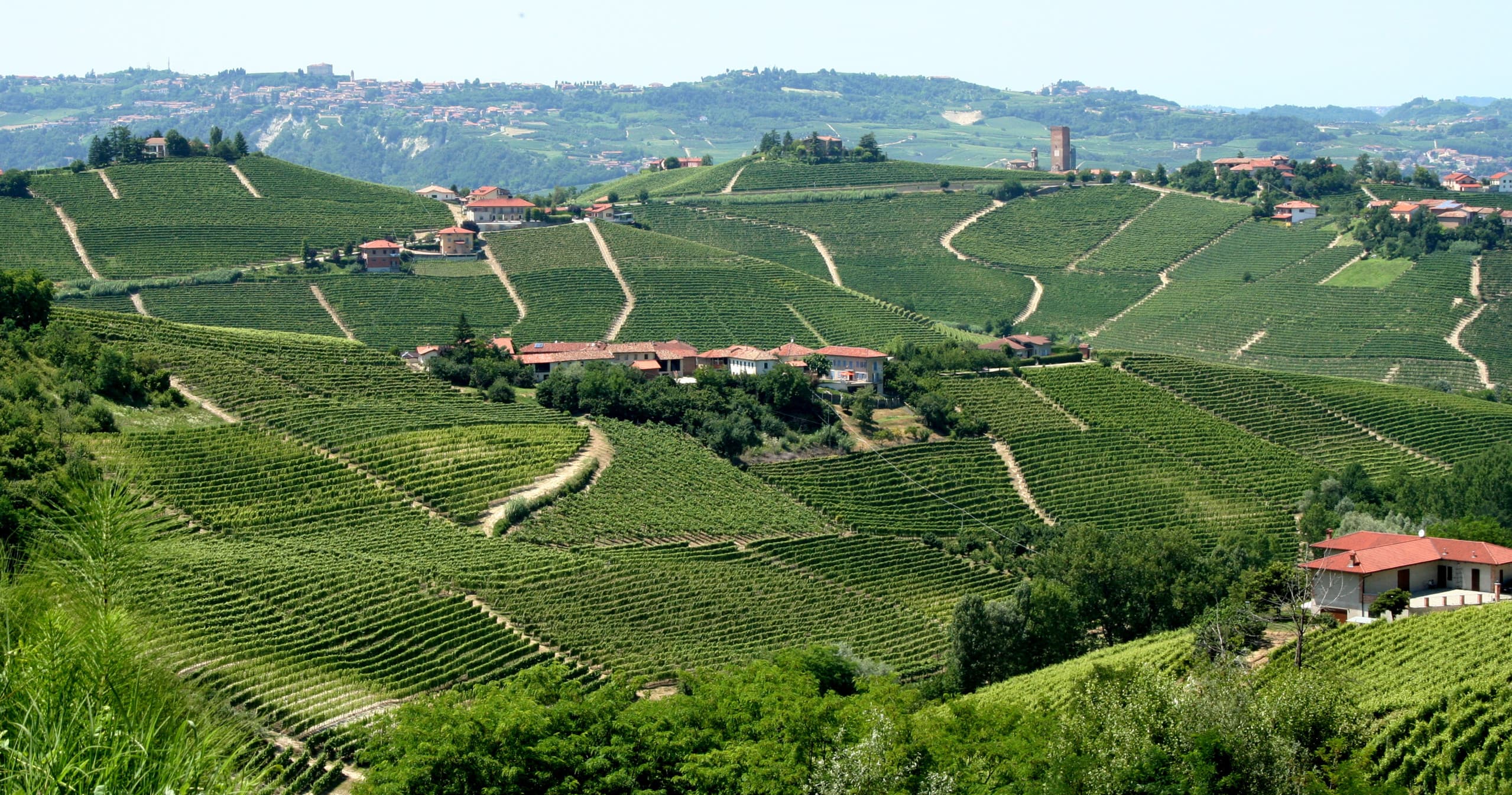 Langhe Region Full-Day from Turin - Private tour