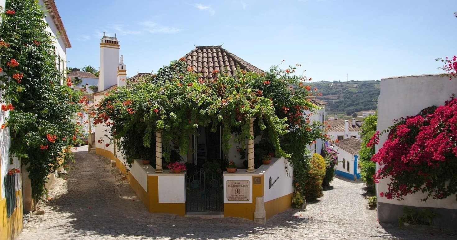 Private Tour • Luxury Van Narazé, Óbidos, Fátima
