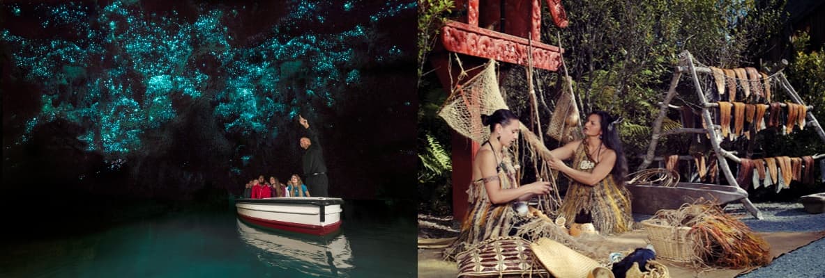 Waitomo Gloworm Cave + Te Puia Geothermal Valley Private Tour