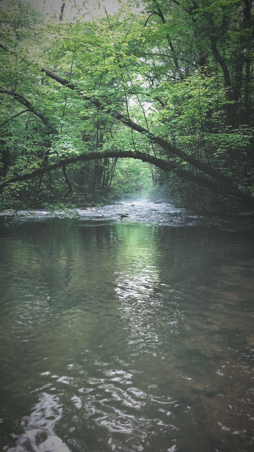 Small Streams & Creeks
