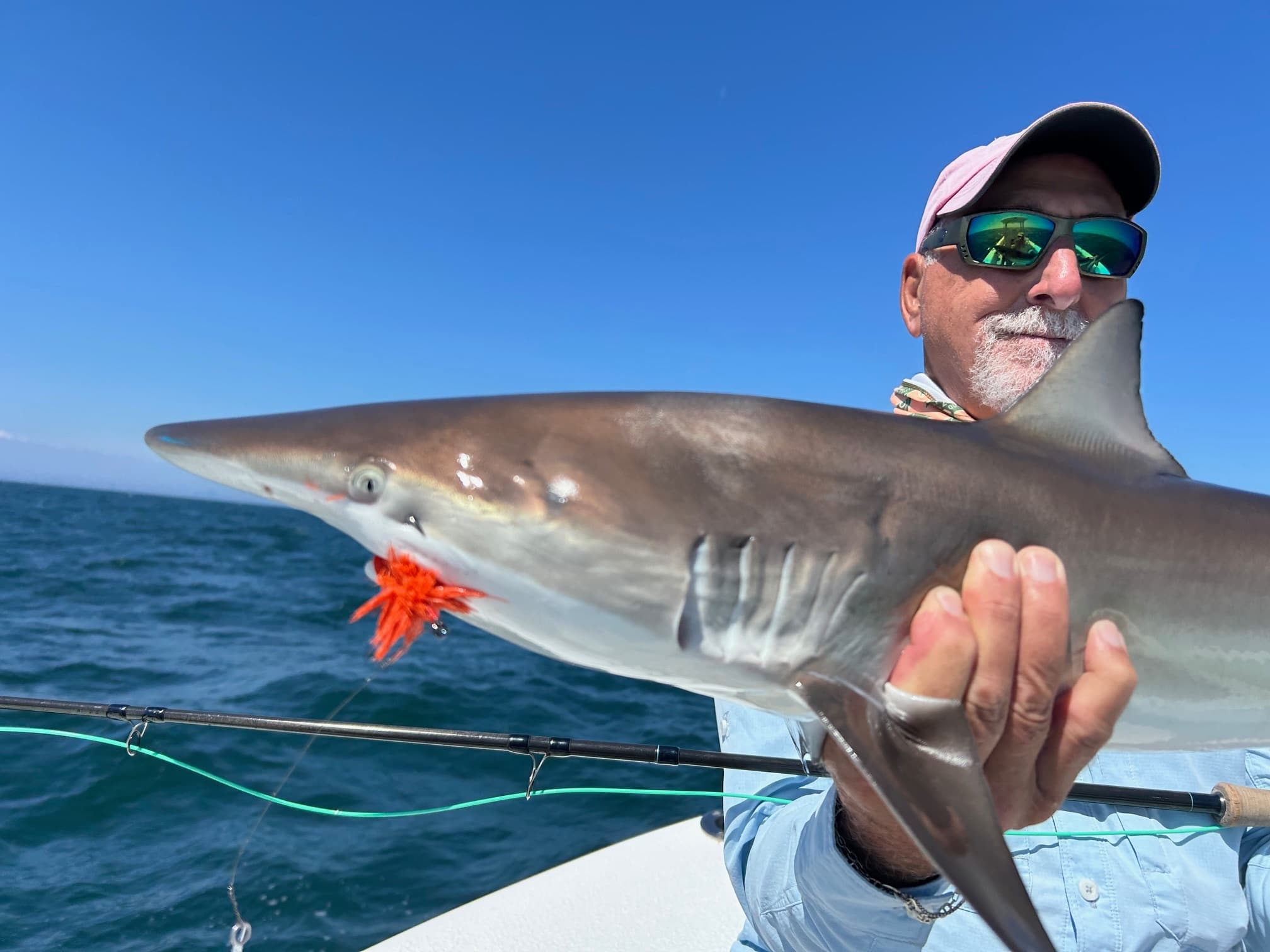 Summer Shark Fishing Charter