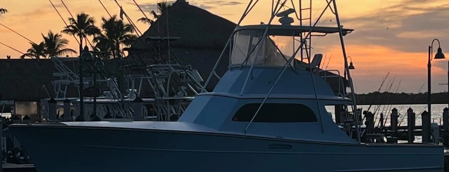 Swordfish Trip