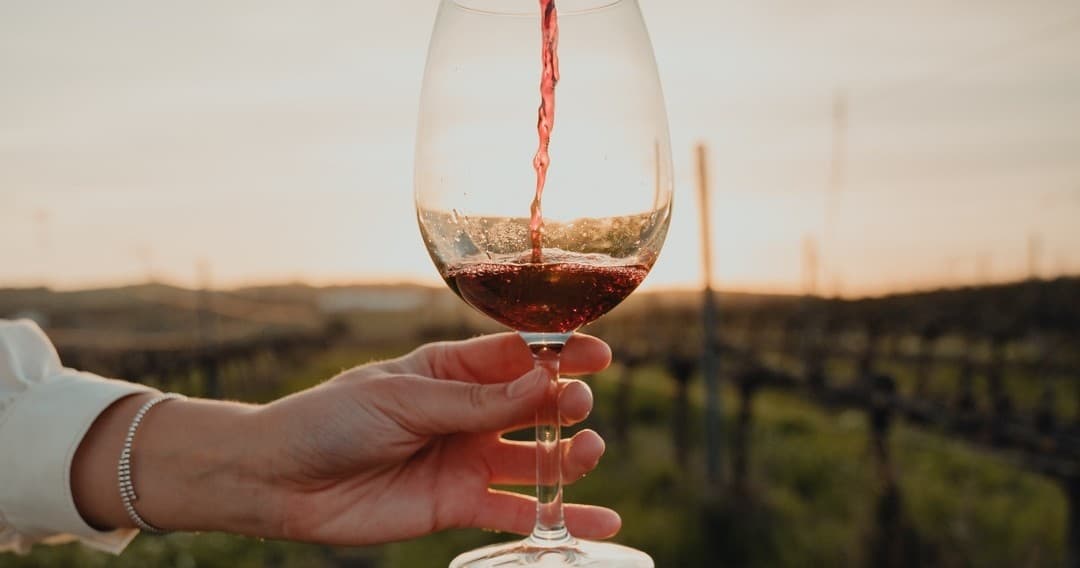 Lisbon Premium Wine Tasting - 3 Wines