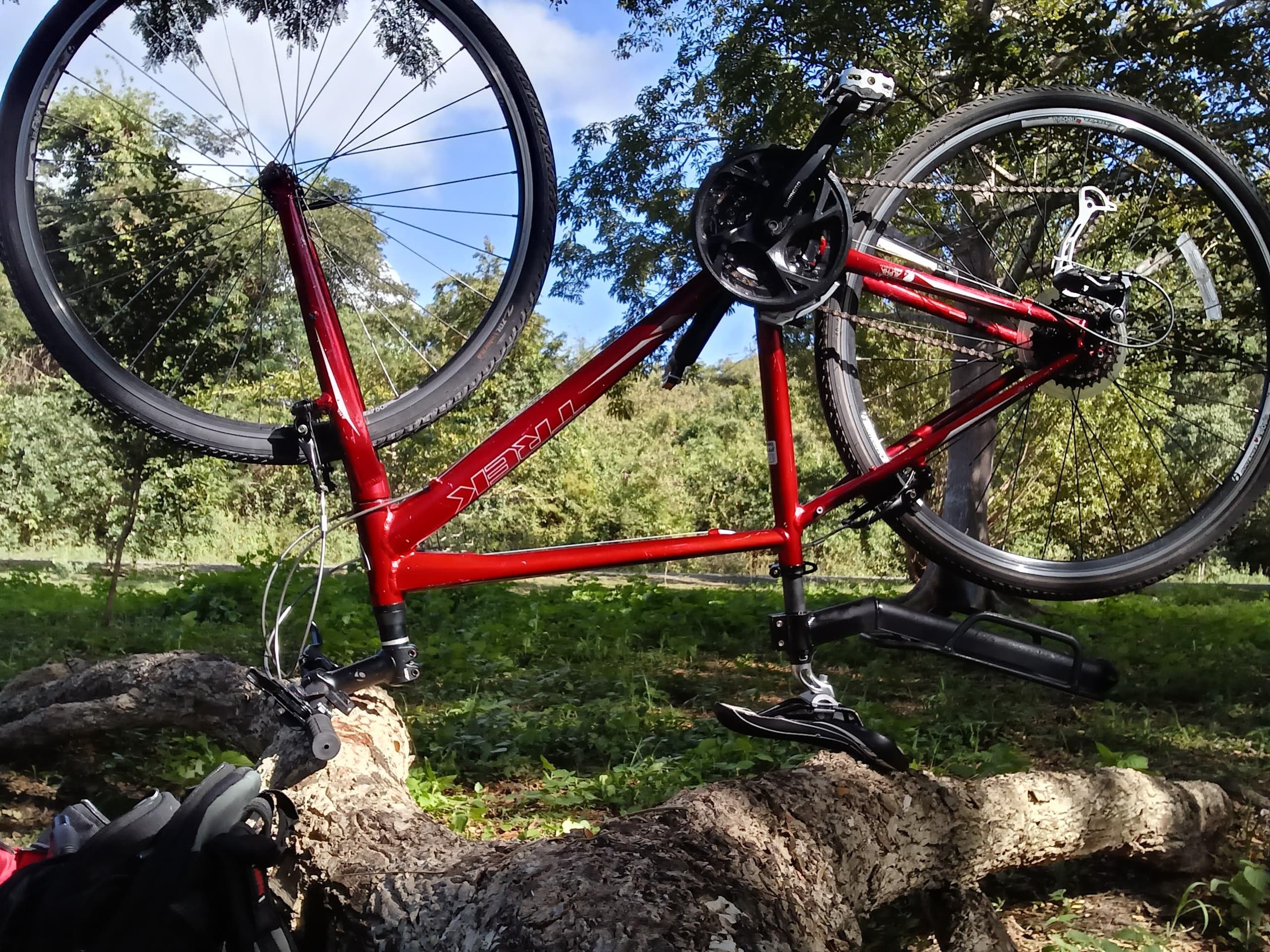 Six Day Bike Rental