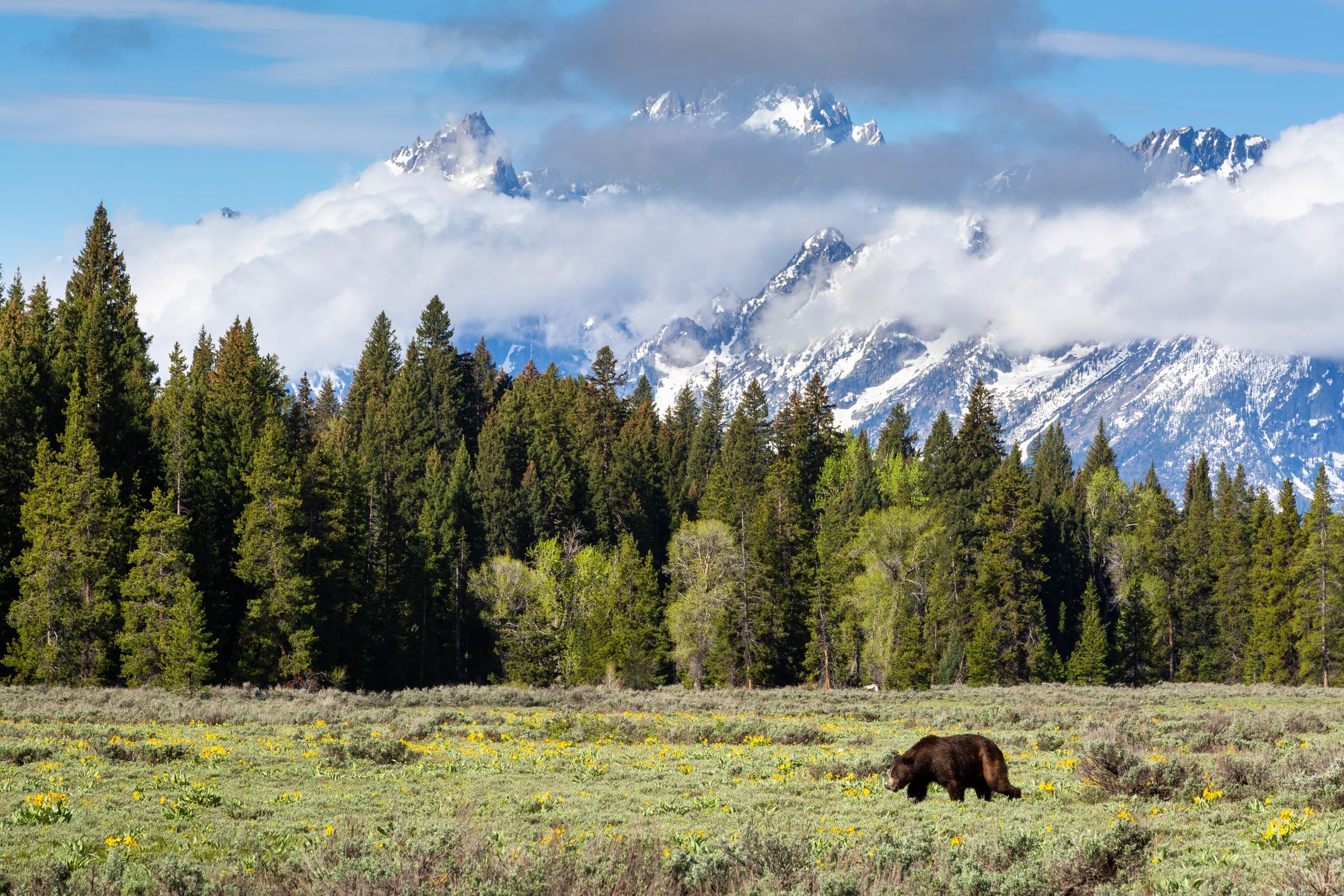 Grand Teton Private Photo Tour
