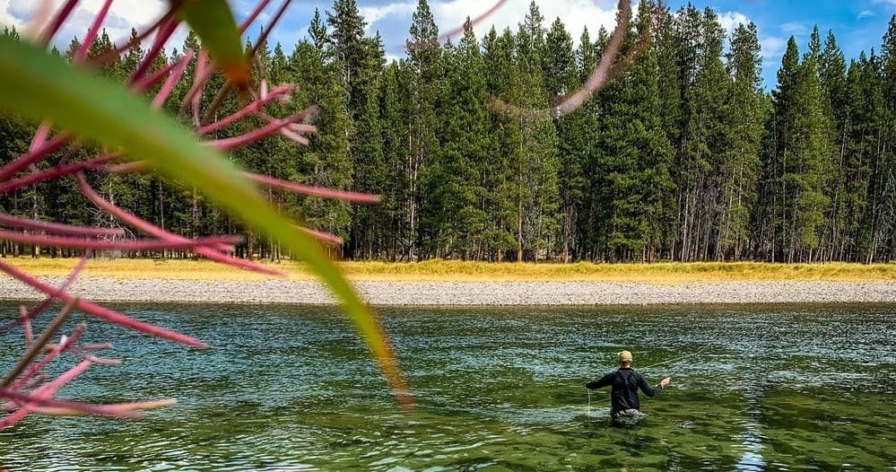 Guided Fly Fishing Trip • Yellowstone