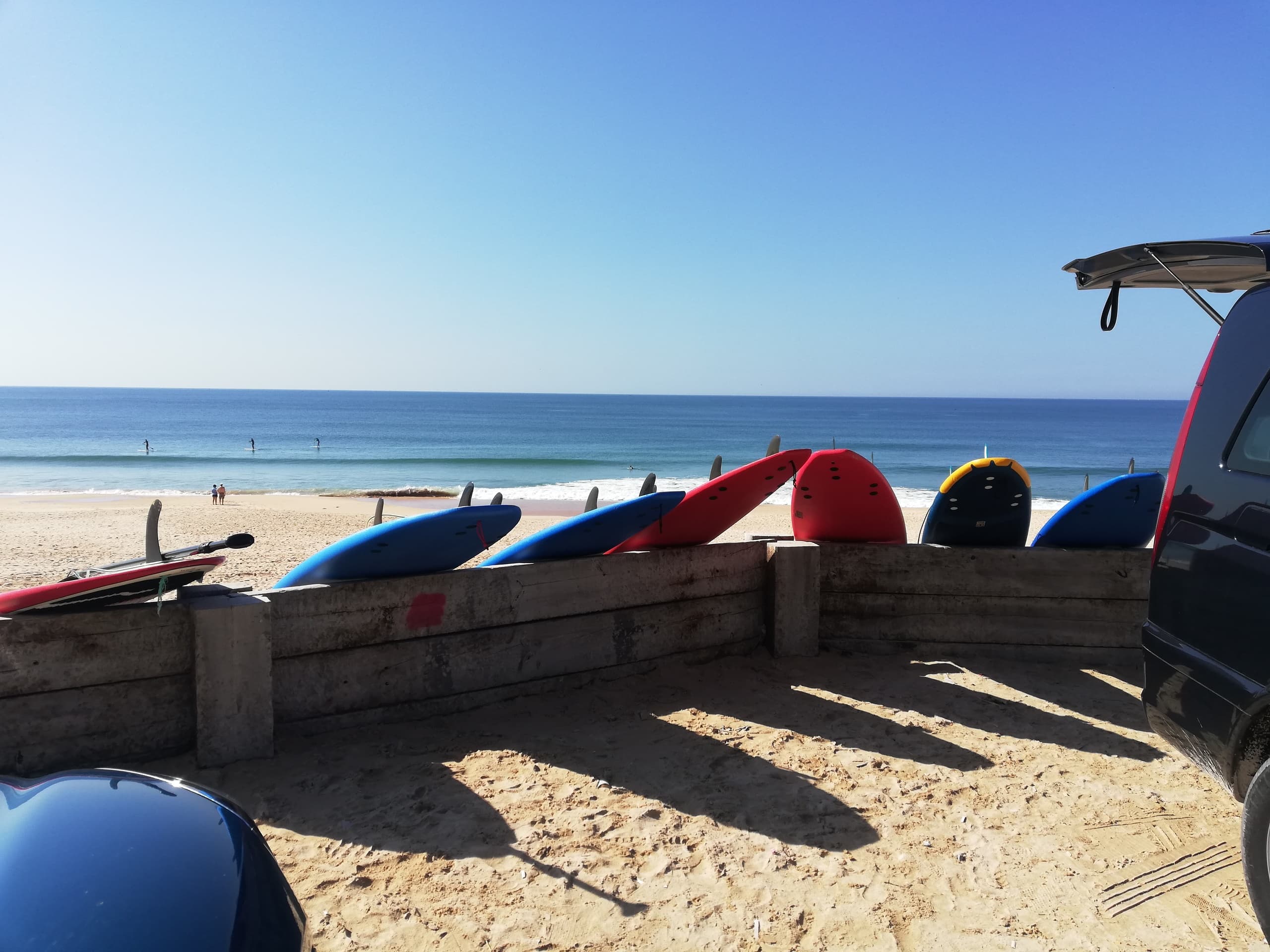 Surf Lesson Half-Day (with transportation)