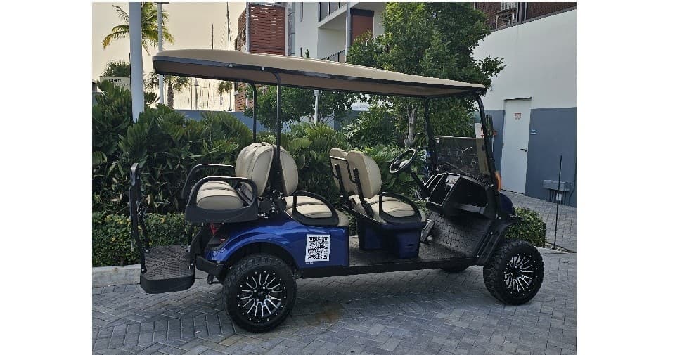 6 Passenger Golf Cart Rentals