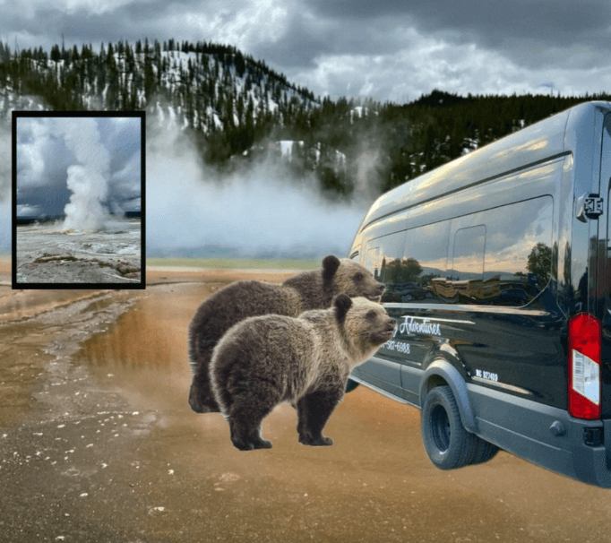 Private Yellowstone “The Volcano” Lower Loop Tours
