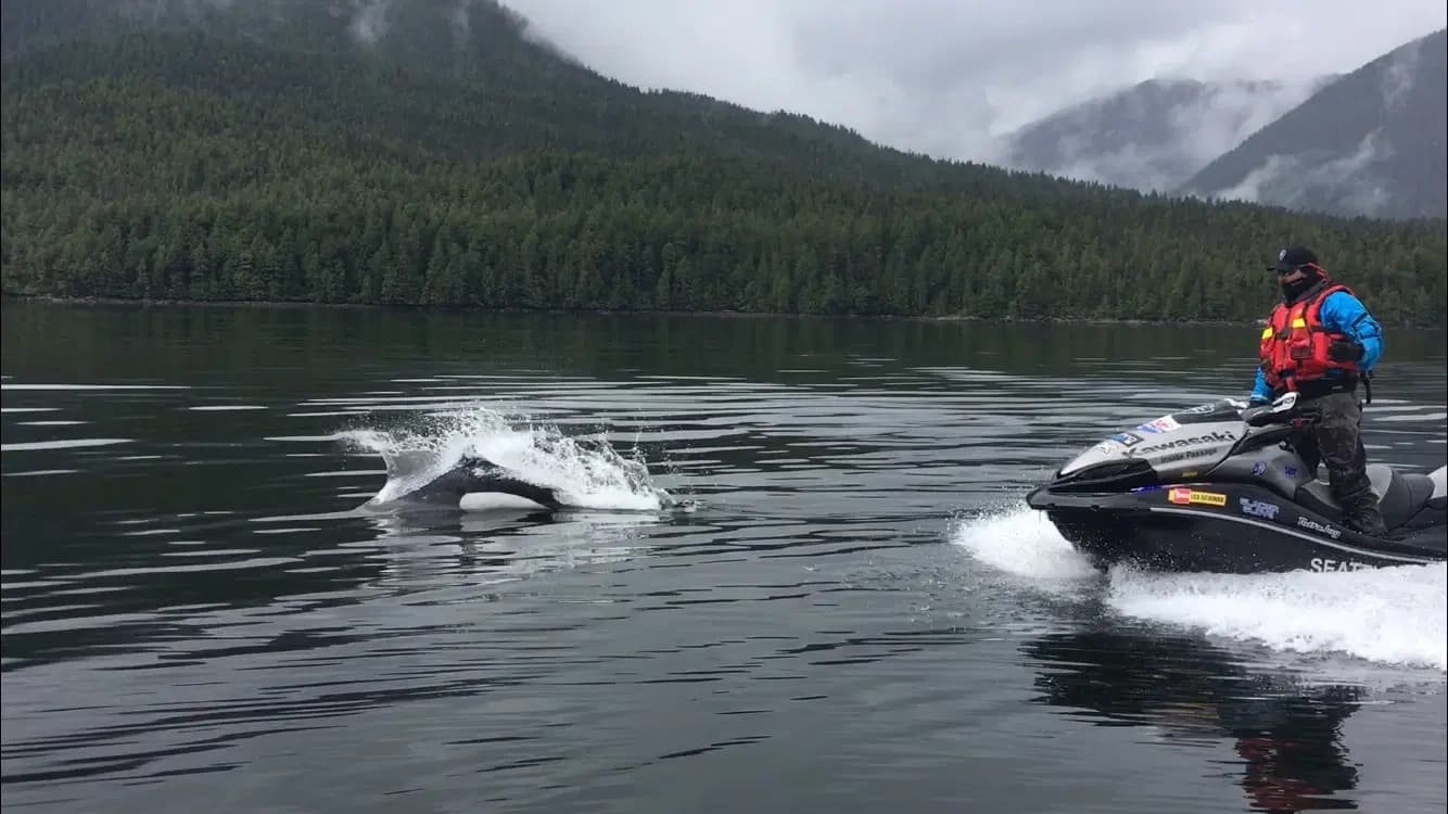 3 Hour Juneau Adventure
