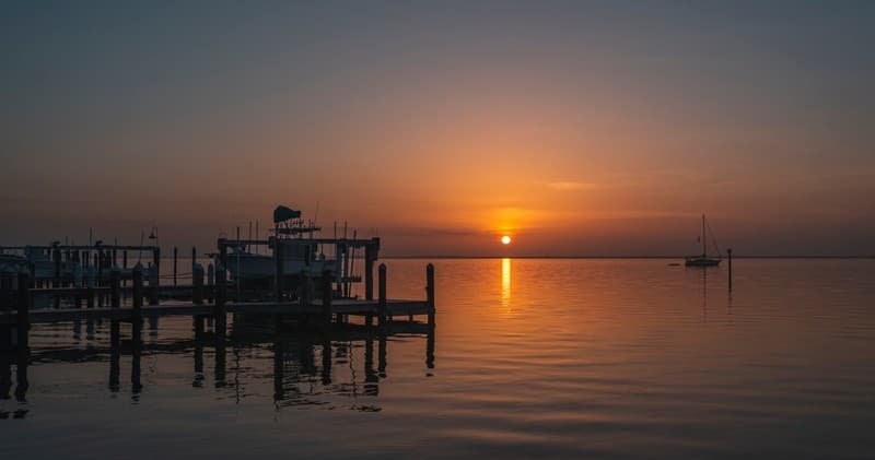 Wildlife Sunset Cruise
