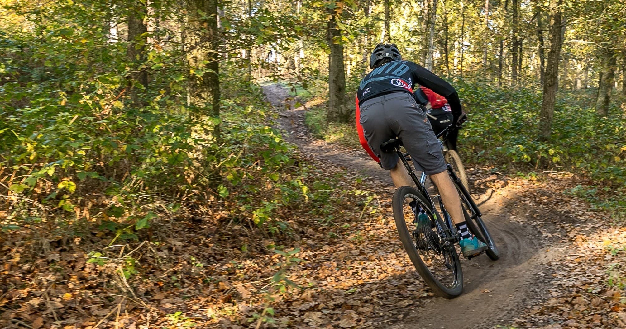 Route Hoge- en Lage Vuursche • Hele dag
