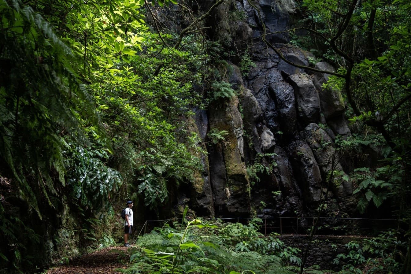 Madeira: PR 9 - Transfer to Levada do Caldeirão Verde