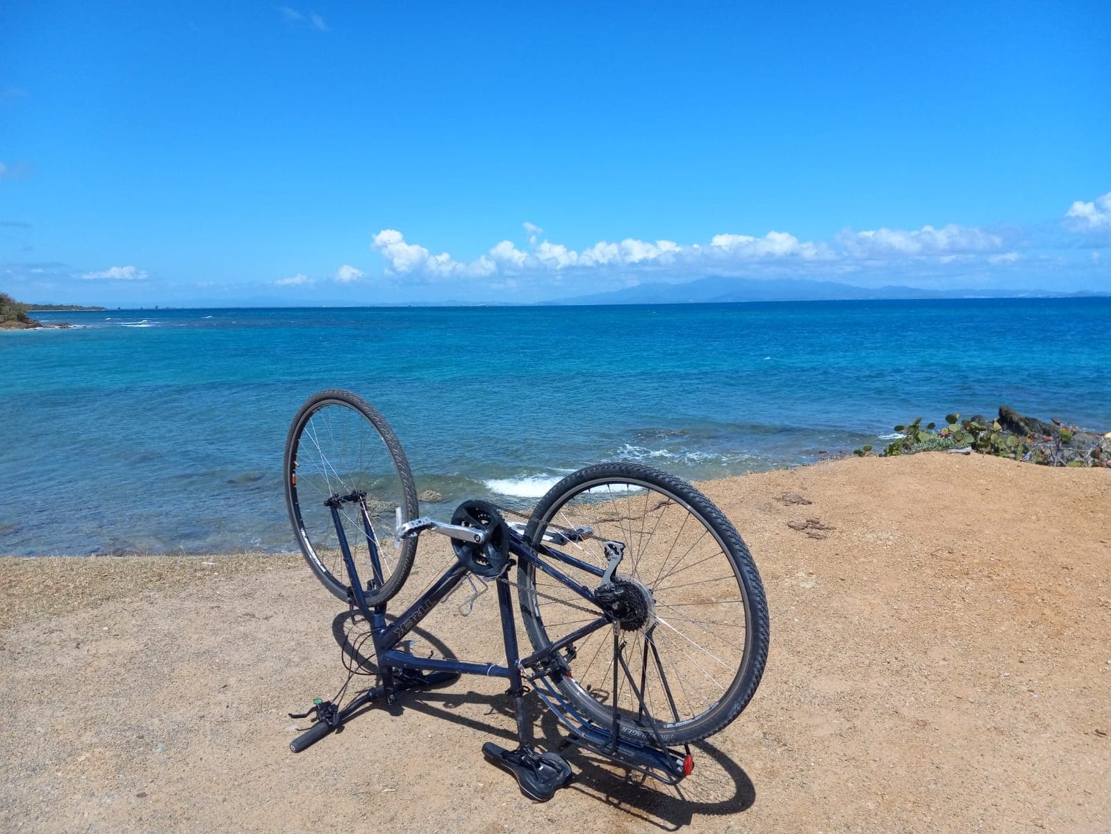 Weekly Bike Rental