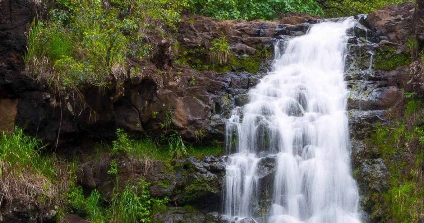 Full Day Oahu Tour with Byodo Temple & Waimea Waterfalls