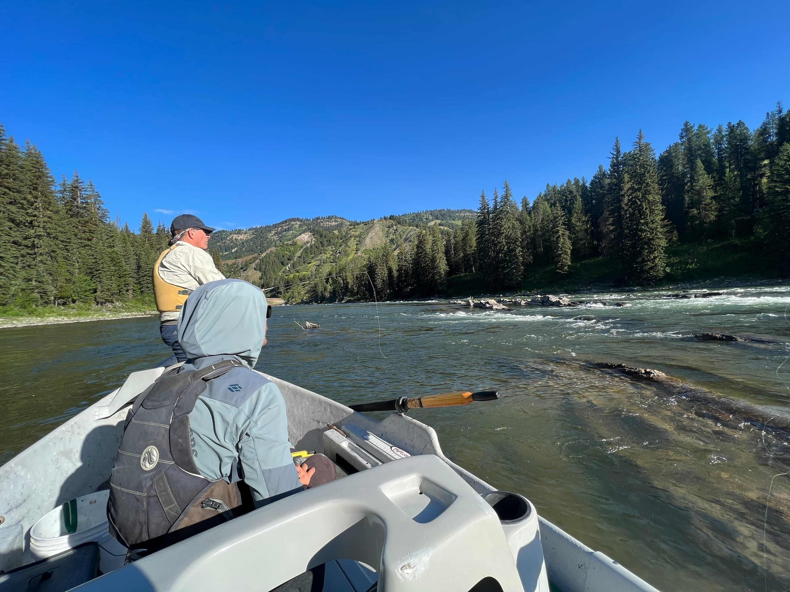 Snake River | Half Day Trip