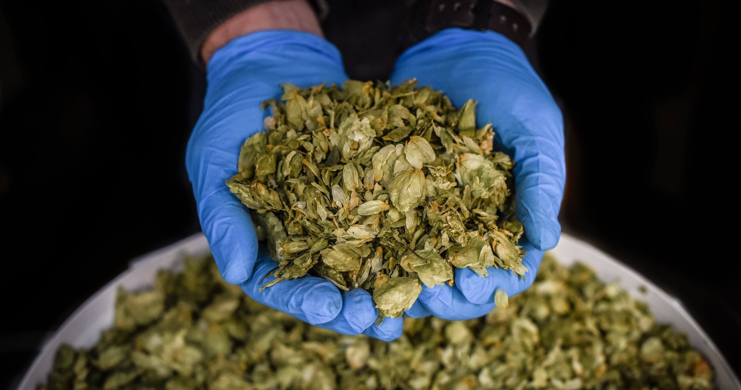 3 Beer Tasting & Tour