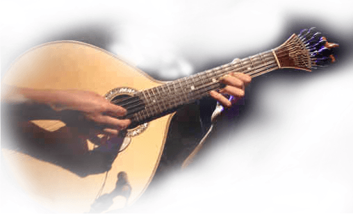 Fado Dinner in Lisbon - Private Tour