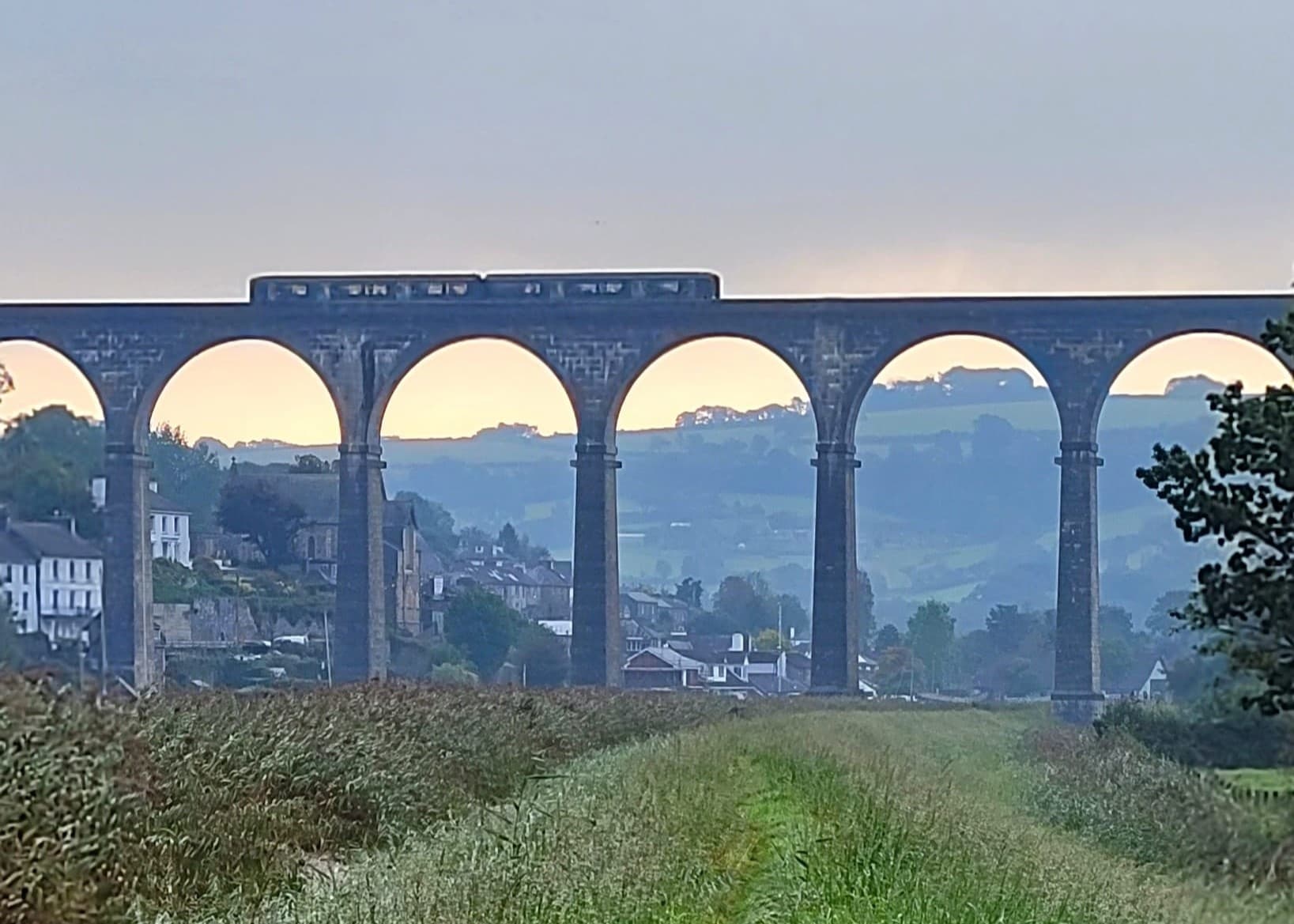 Tamara Way: Bere Alston to Bere Ferrers guided walk