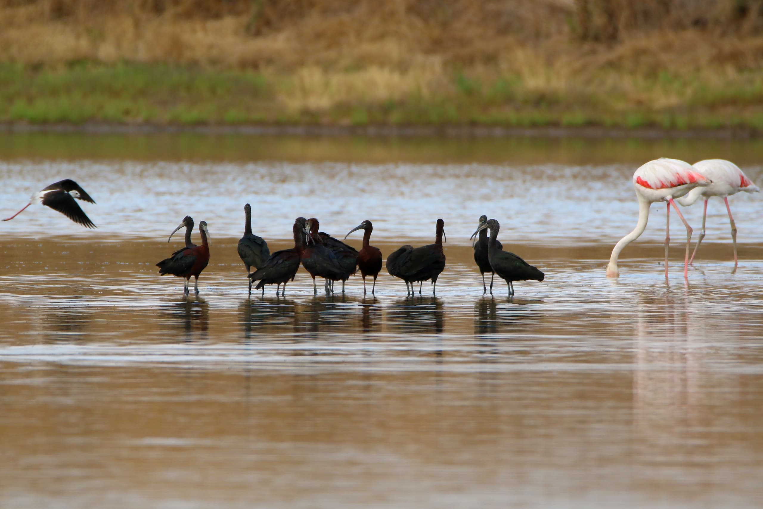 Grand Tour Aves, Vinho e Cortiça