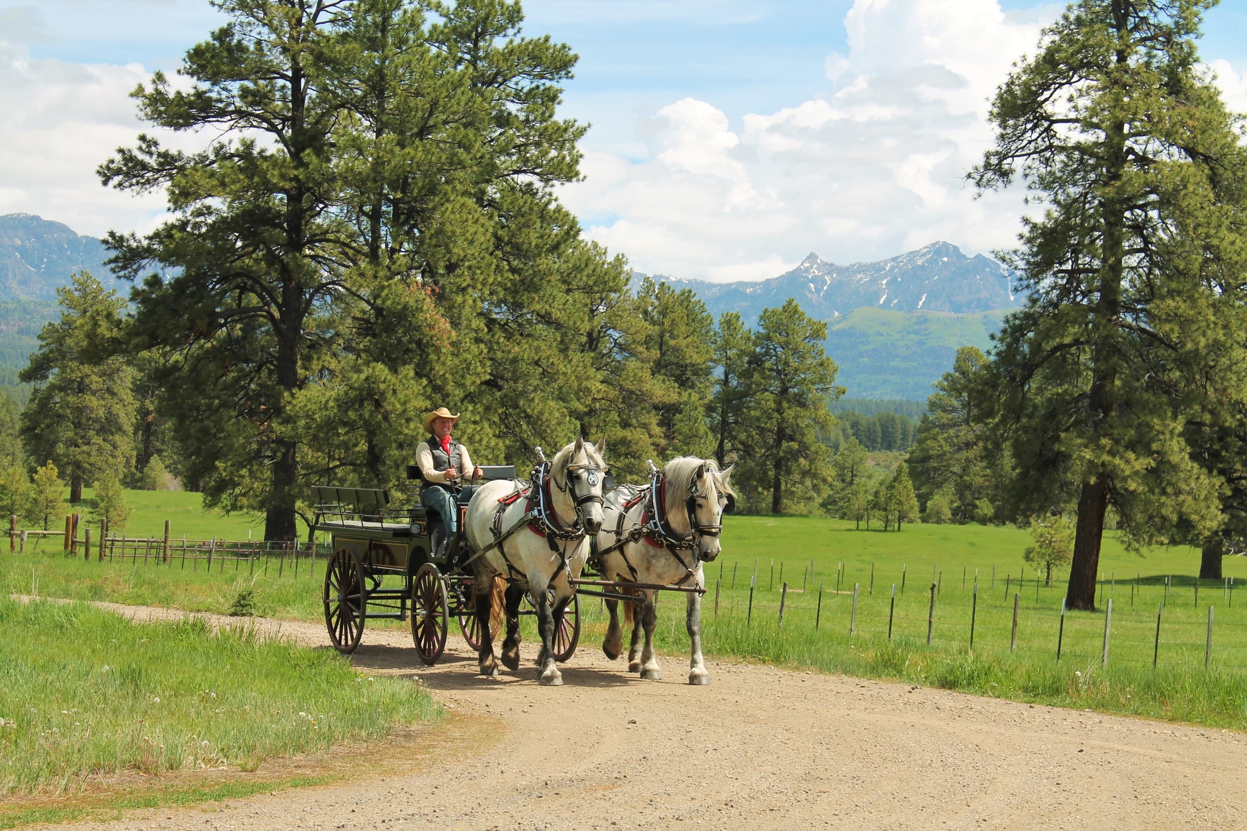 Private Carriage Ride