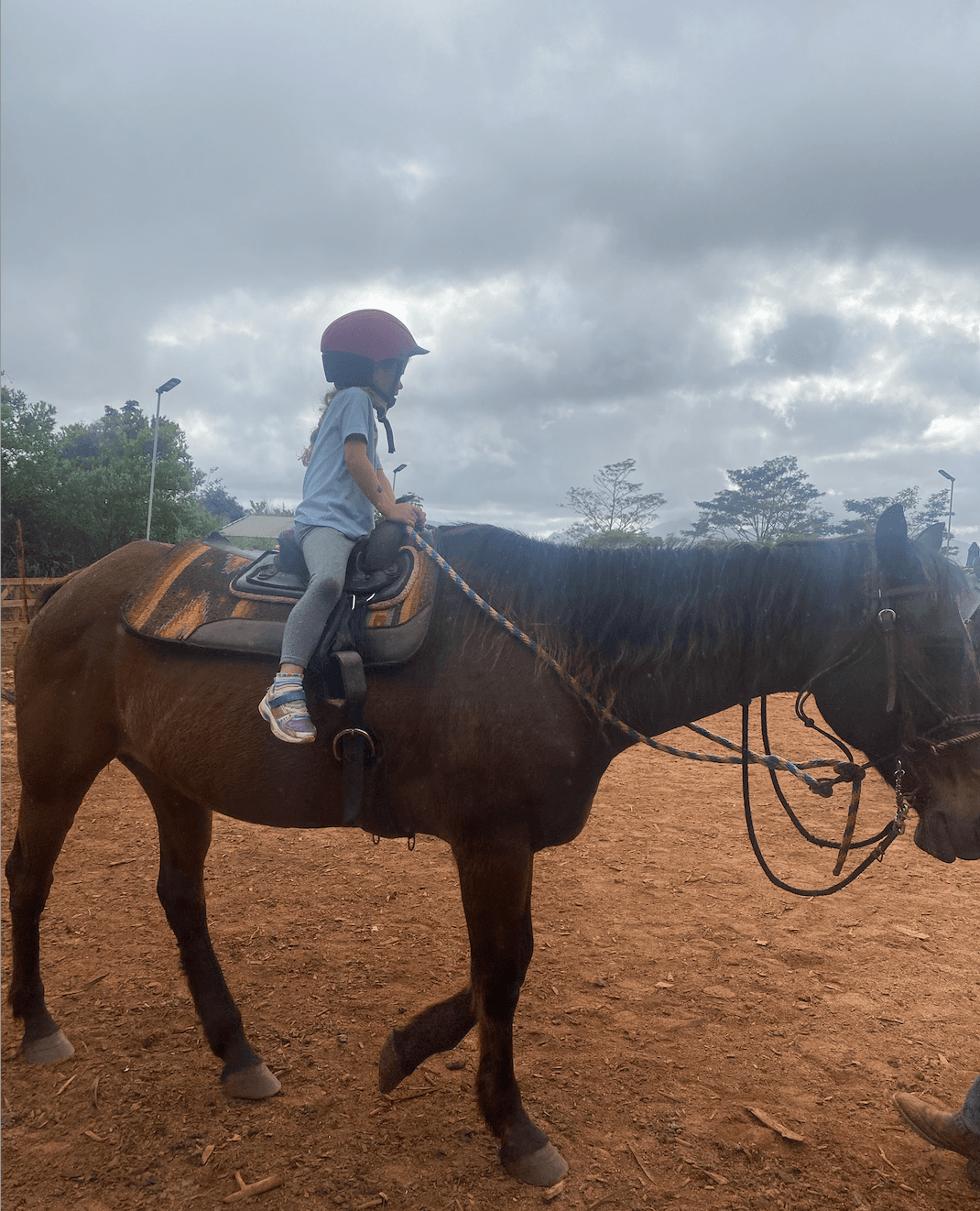 Pony Rides