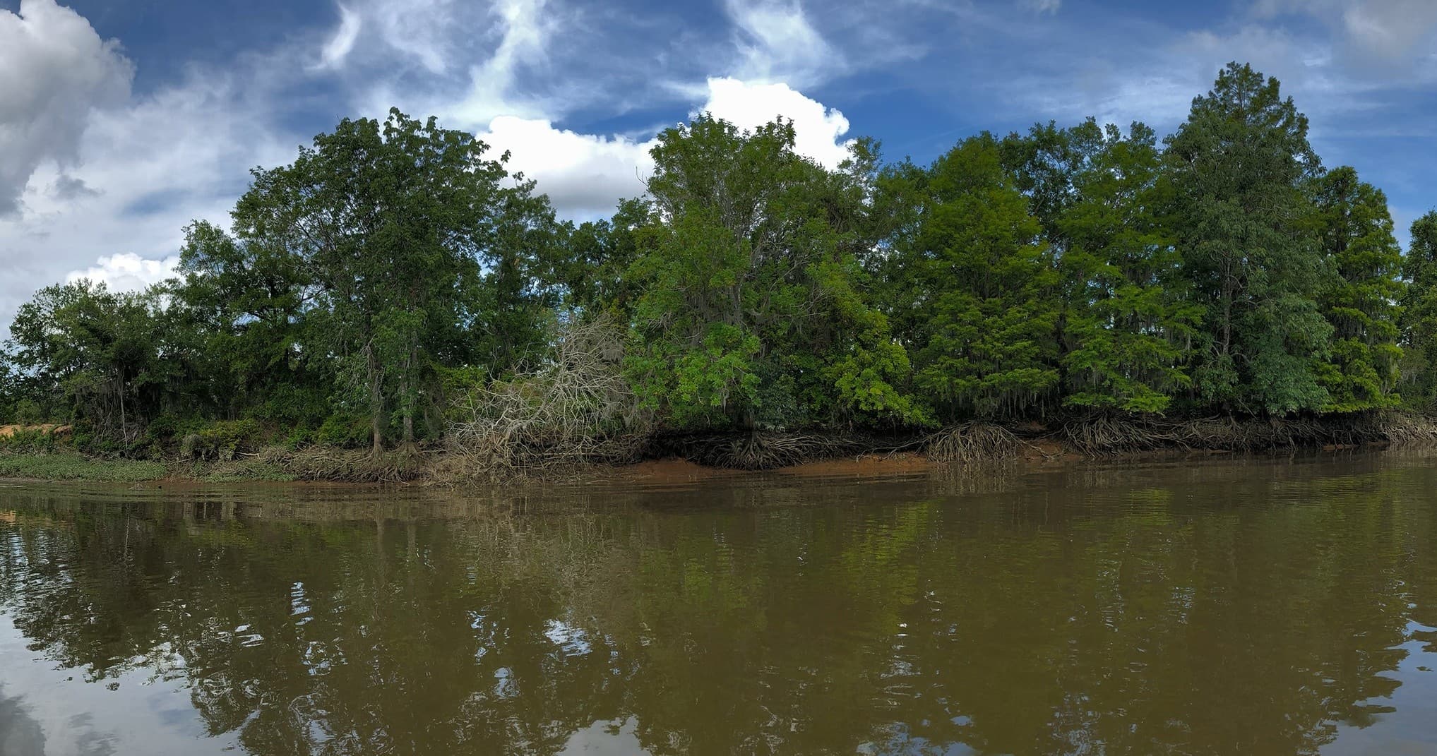 SAV - Private Savannah National Wildlife Refuge Excursion