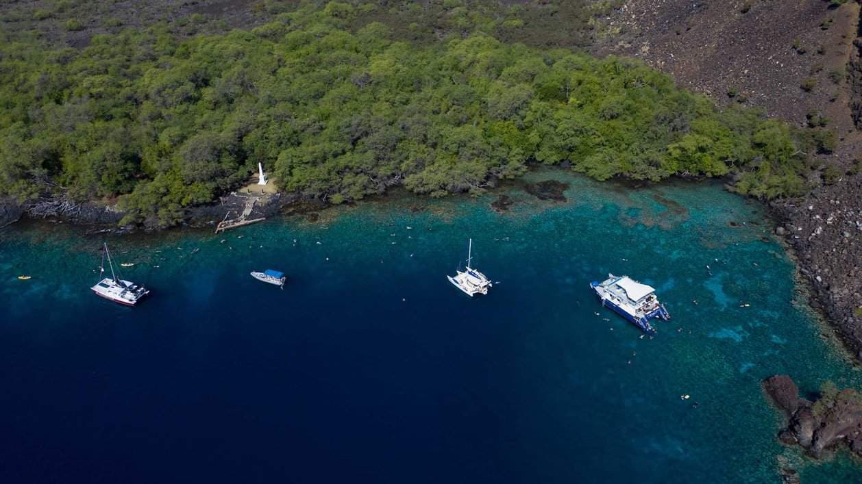 Kealakekua Snorkeling Tours