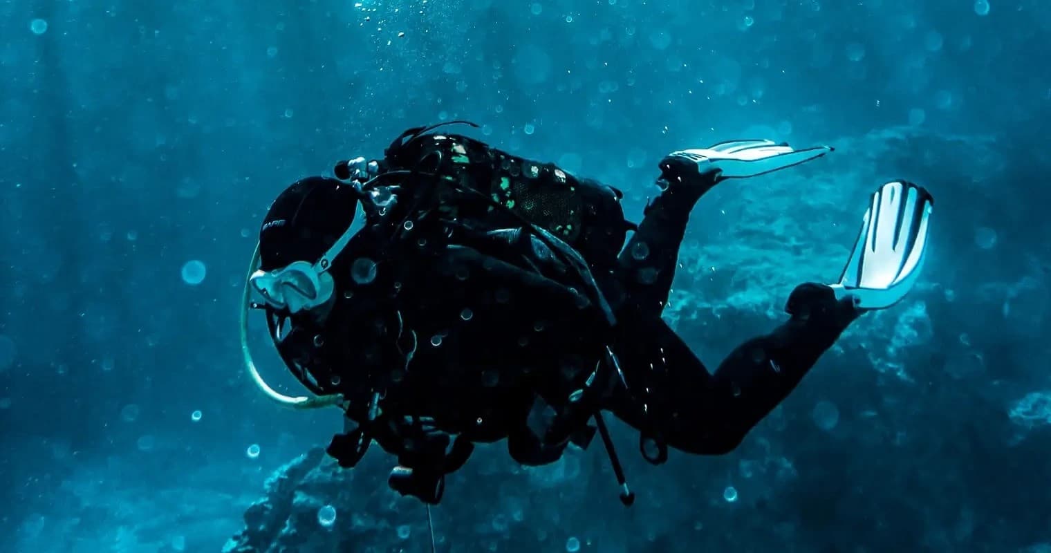 Wellington on shore dives
