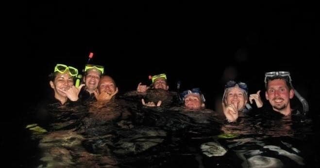 Night Manta Ray Tour | Departs from Keauhou Bay