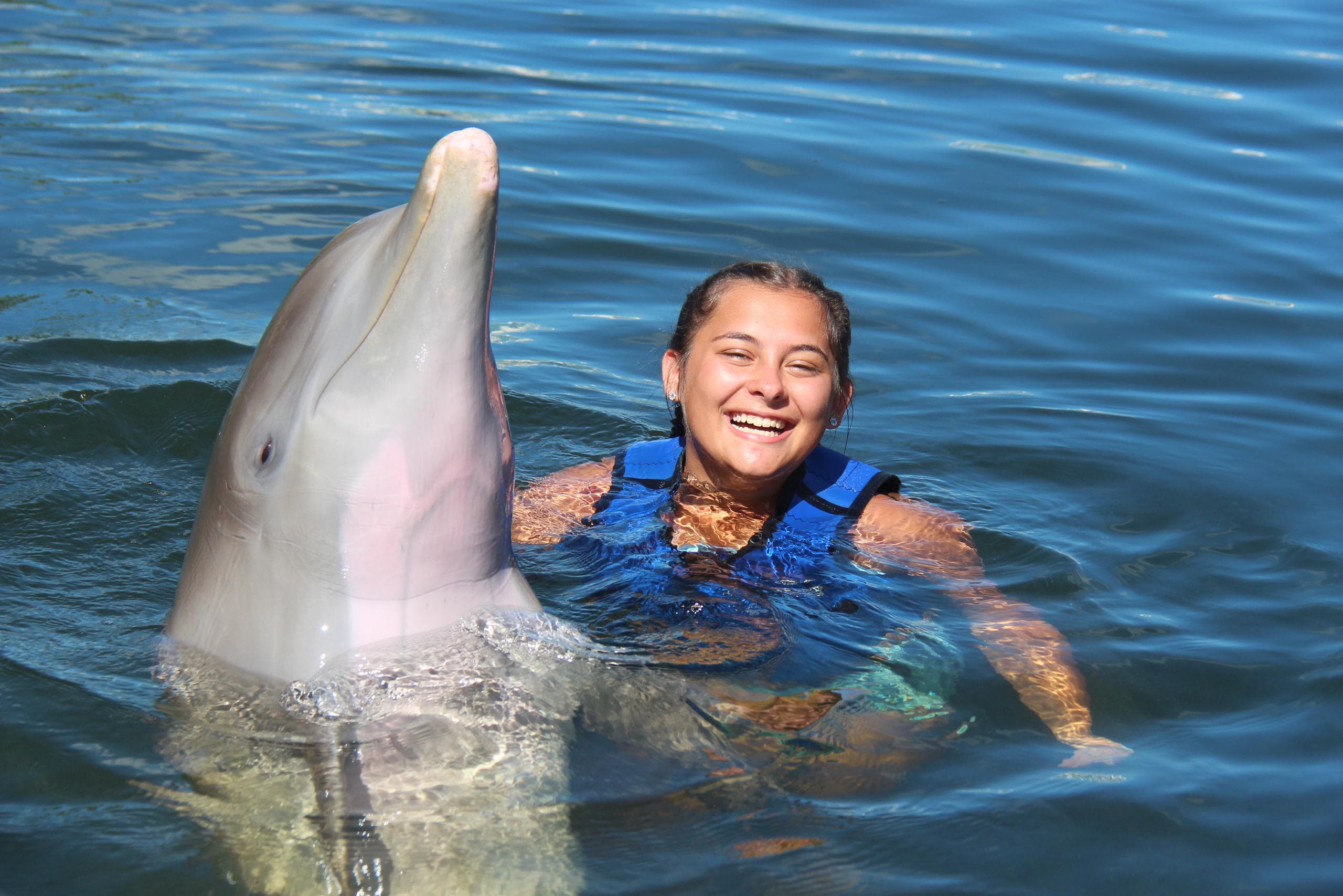 Premier Swim With Dolphins