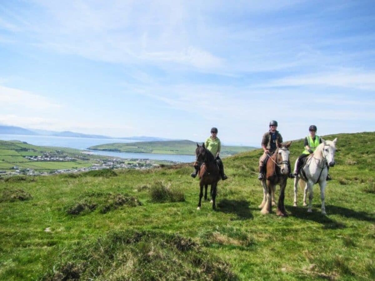 Shamrock Trail - Beginner / Novice