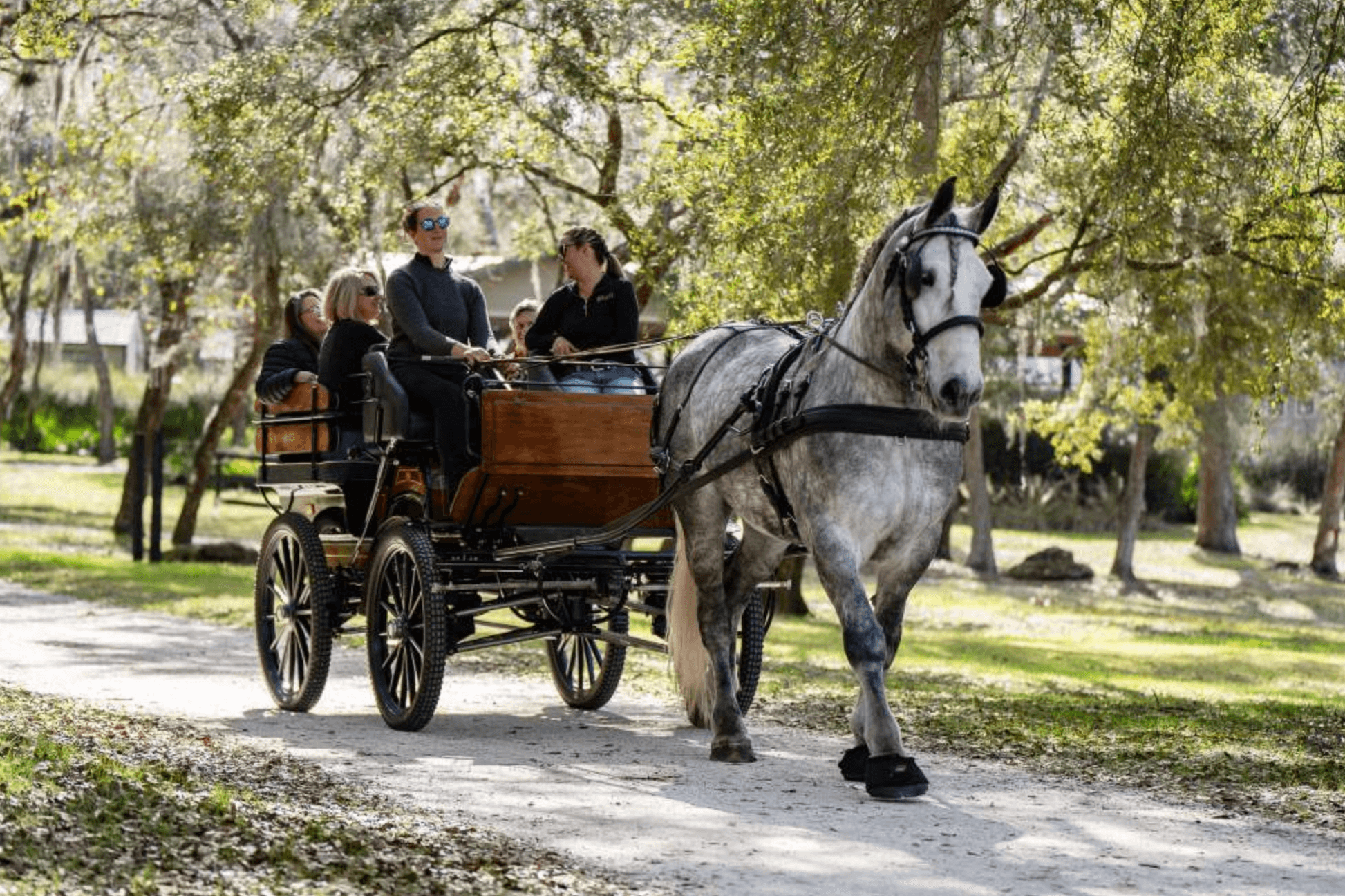 Sunset Carriage Ride & Dinner