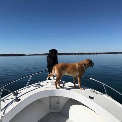 19' SeaPro Center Console