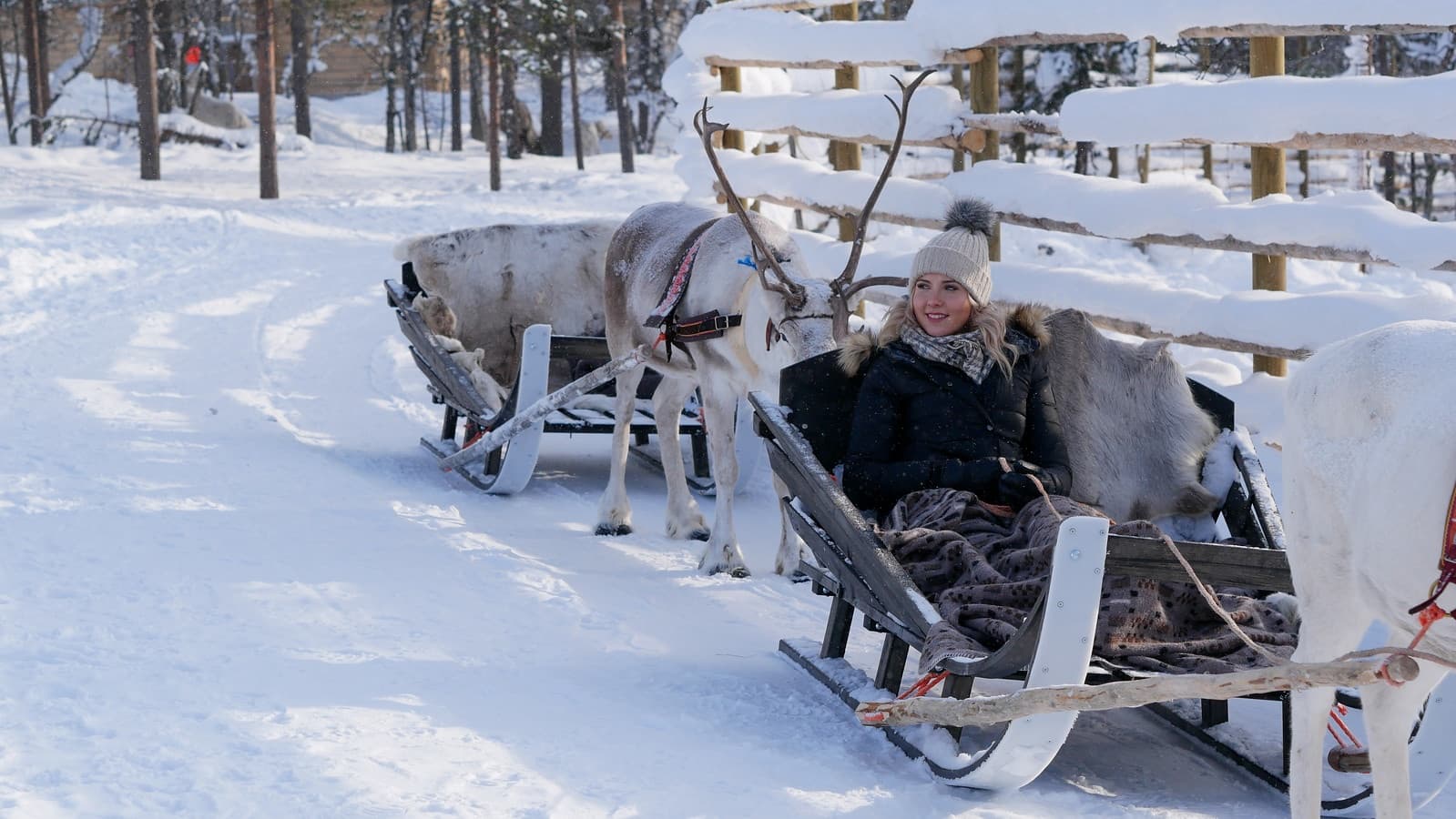 [R2] Reindeer Express (1,5h)